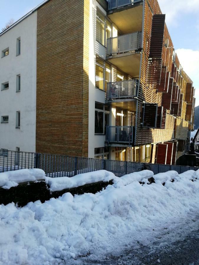 Rodinny Apartman Harrachov 606 エクステリア 写真