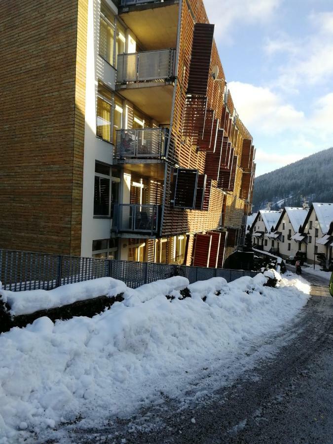Rodinny Apartman Harrachov 606 エクステリア 写真